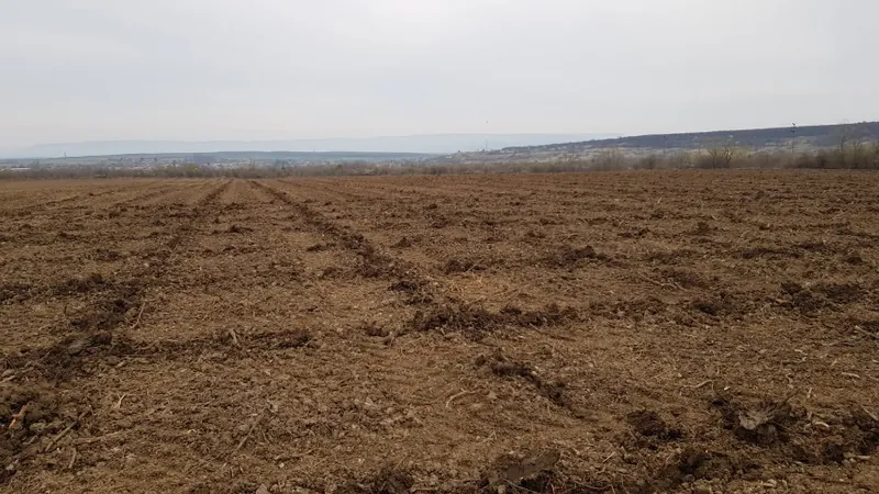 Изорана нива с редове за засаждане